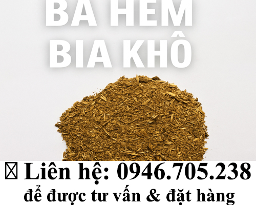 BÃ HÈM BIA KHÔ