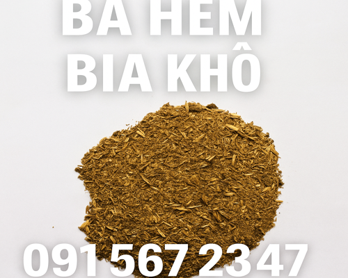 BÃ HÈM BIA KHÔ